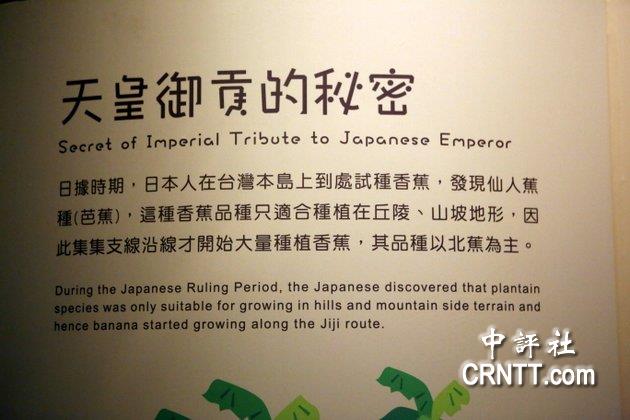 日本天皇御用的香蕉,過去都是由南投集集鎮生產。 日本天皇御用的香蕉,過去都是由南投集集鎮生產。